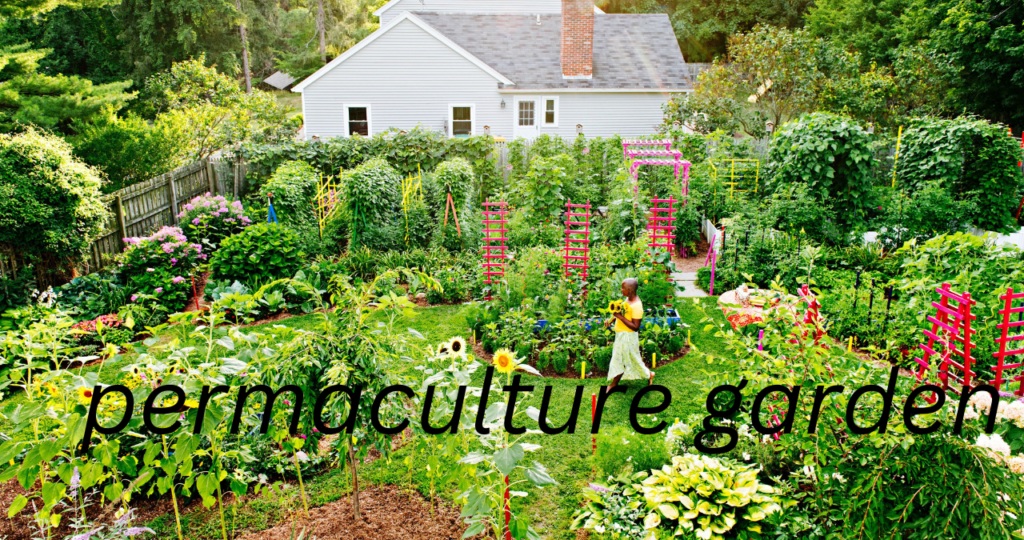 permaculture garden