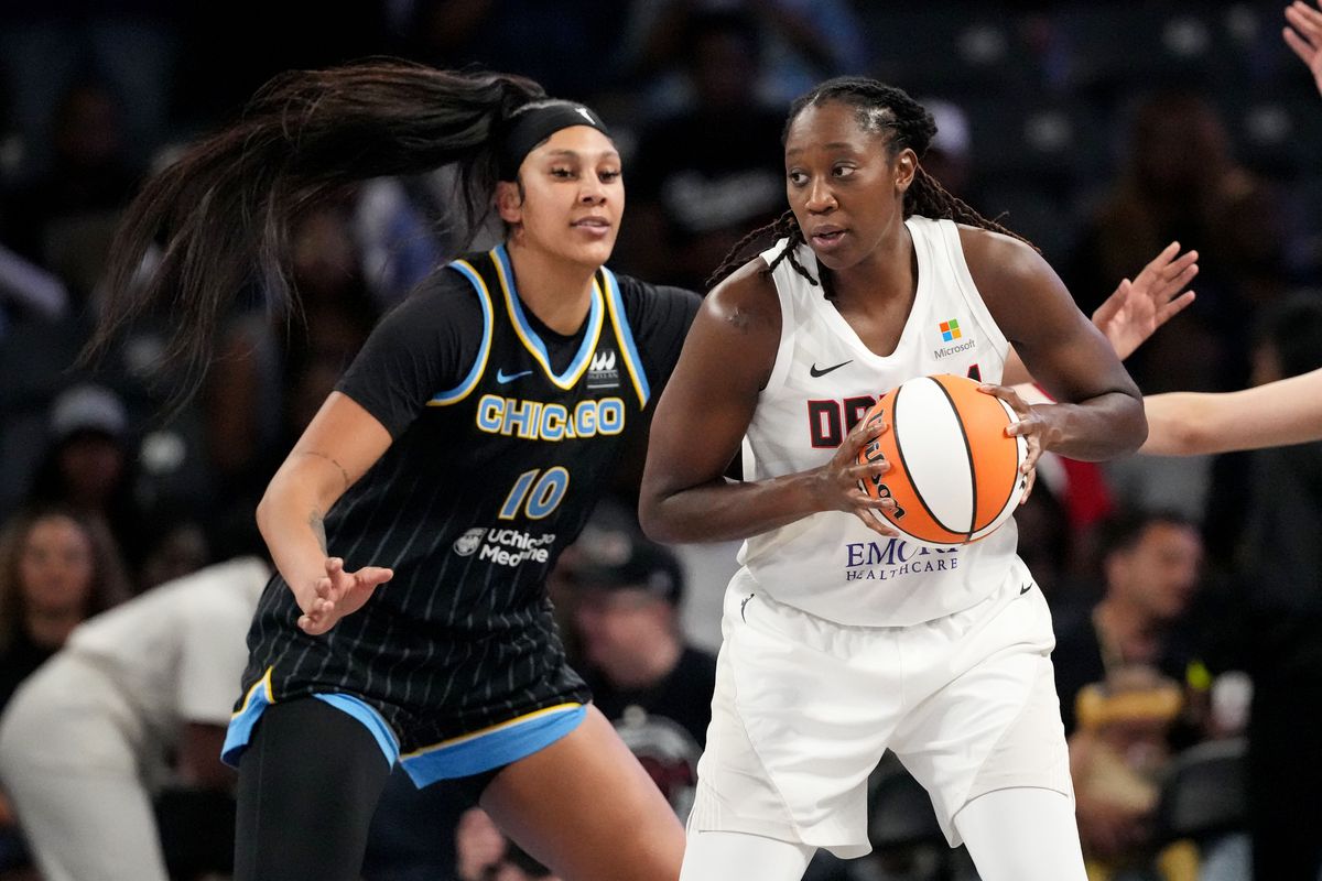 Chicago Sky vs Atlanta Dream Match Player Stats