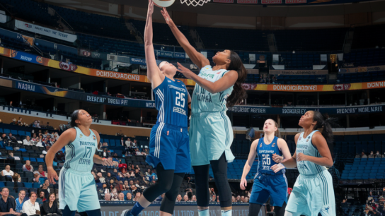 New York Liberty vs Minnesota Lynx Match Player Stats